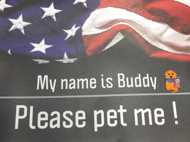 Please pet Buddy!