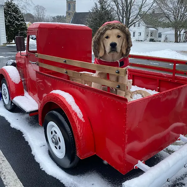 Funeral Therapy Dog | Buddy on duty RI funeral home services