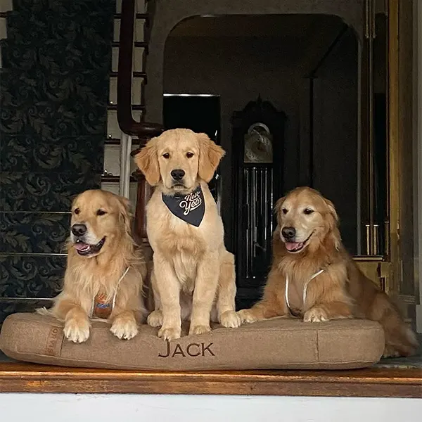 Buddy and Teddy at the Funeral Home